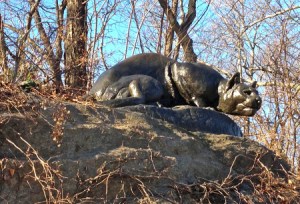 centralparkpanther